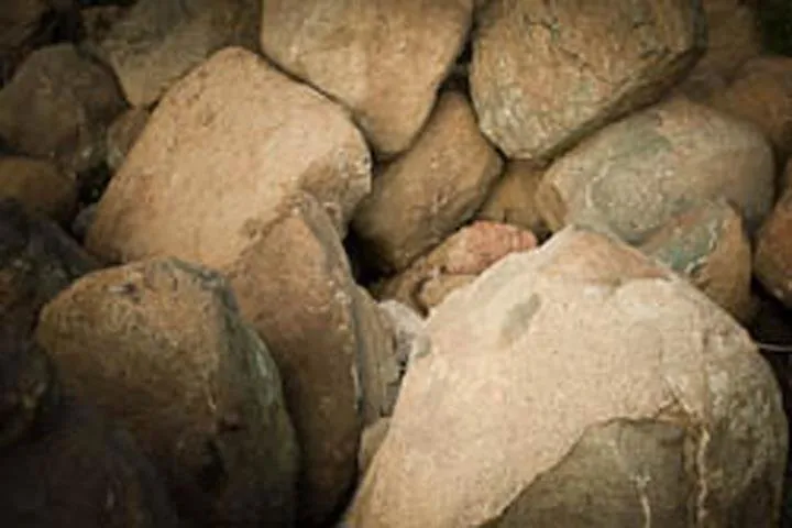 Trusted landscape design in Waterloo, WI - Skalitzky Sod Farms