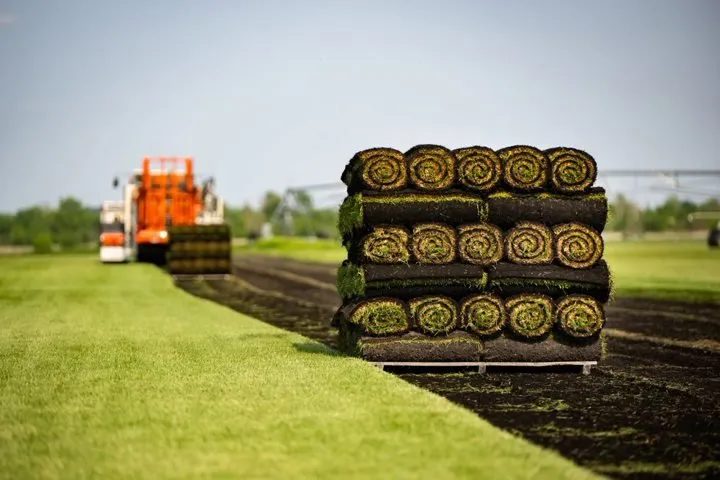 Professional residential landscaping in Waterloo, WI by Skalitzky Sod Farms
