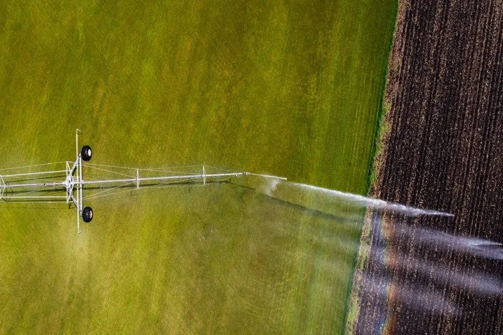 Trusted lawn care service in Waterloo, WI by Skalitzky Sod Farms