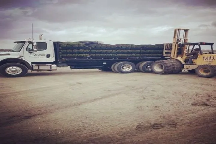 Affordable landscape design near you in Waterloo, WI by Skalitzky Sod Farms