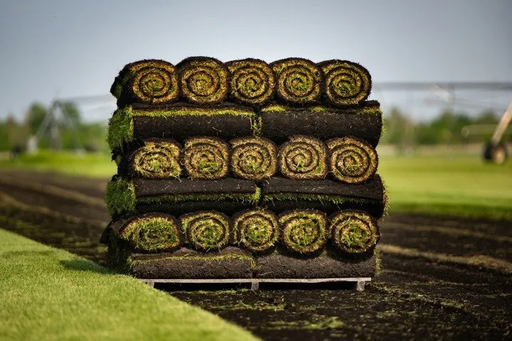 Local outdoor landscaping in Waterloo, WI by Skalitzky Sod Farms