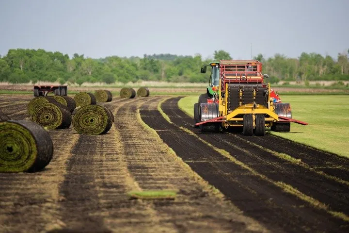 Trusted yard maintenance near you in Waterloo, WI by Skalitzky Sod Farms