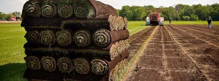 Expert lawn care service for homes in Waterloo, WI by Skalitzky Sod Farms