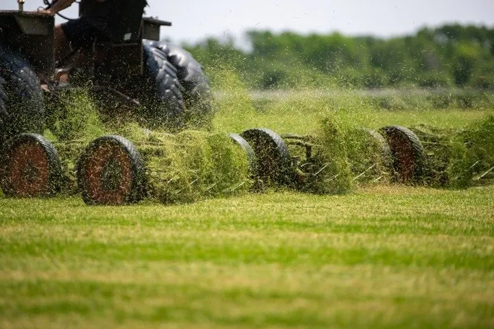Top-rated landscape installation for outdoor upgrades across Waterloo, WI - Skalitzky Sod Farms