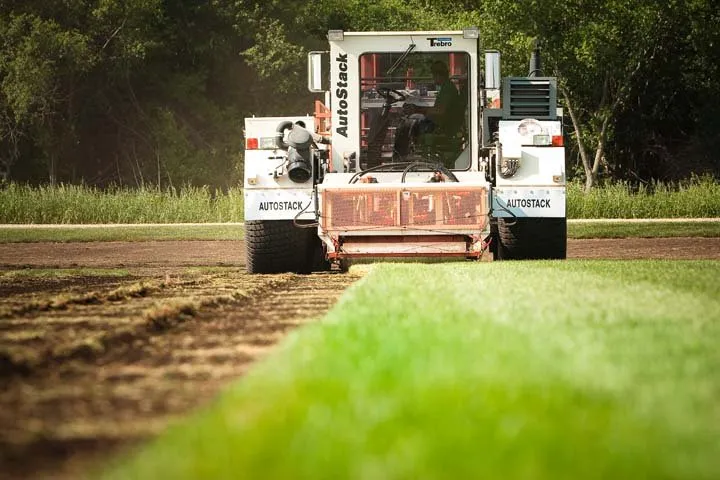 Expert landscaping services with custom design across Waterloo, WI - Skalitzky Sod Farms