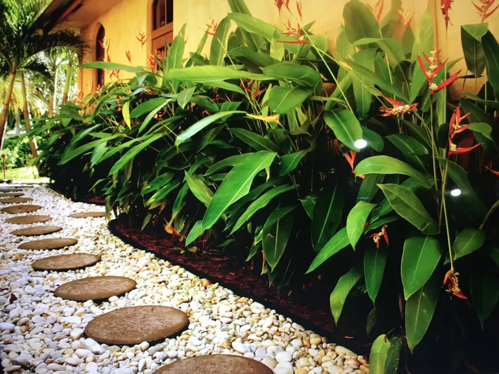 Expert yard cleanup service with custom design across Hollywood, FL - SKAS