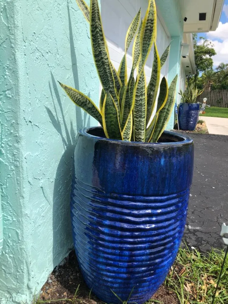 Reliable yard maintenance for outdoor upgrades across Hollywood, FL - SKAS