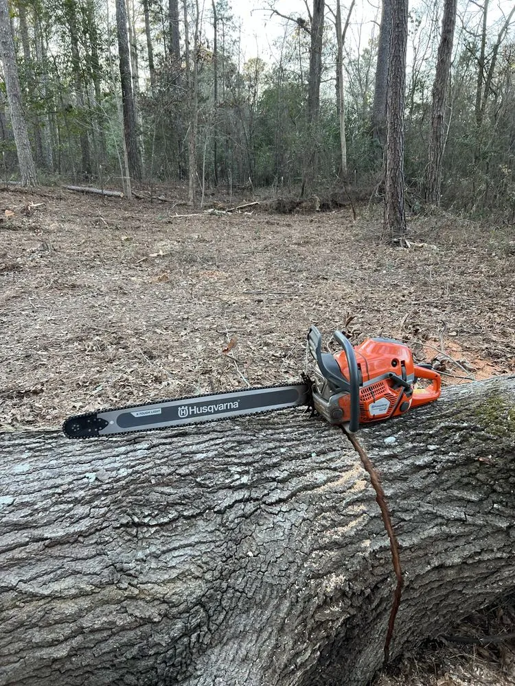 Reliable landscape installation for year-round maintenance in Oxford, GA by SKB Services