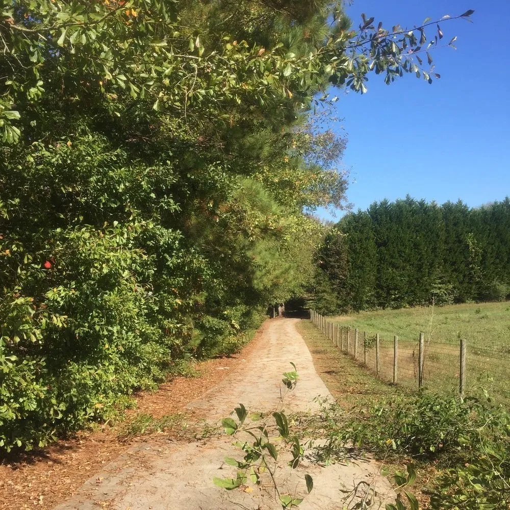 Custom lawn care service in Oxford, GA by SKB Services