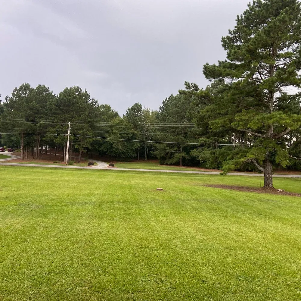 Top-rated landscaping services for year-round maintenance in Oxford, GA by SKB Services