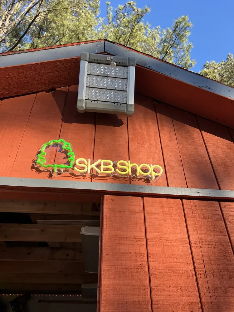 Reliable yard cleanup service experts serving Oxford, GA - SKB Services