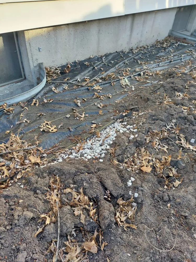 Affordable yard maintenance experts serving Lee's Summit, MO - Skeens Lawn & Landscaping