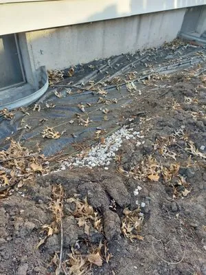 Skeens Lawn & Landscaping Logo