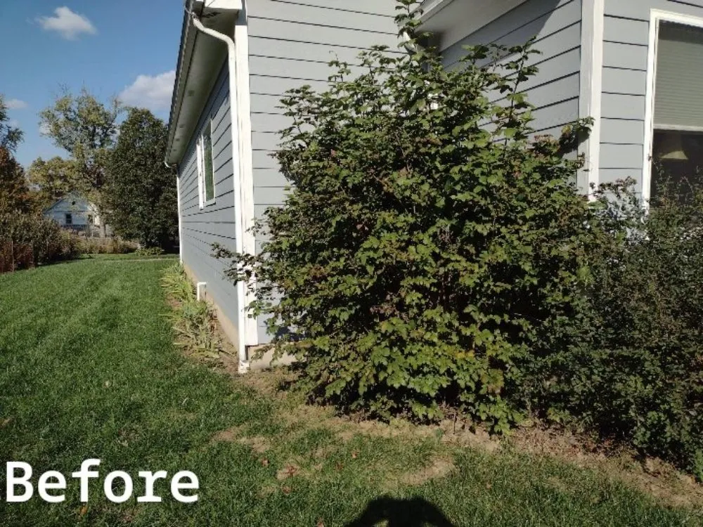 Local lawn care service in Cincinnati, OH by Skeens Lawn Care Services