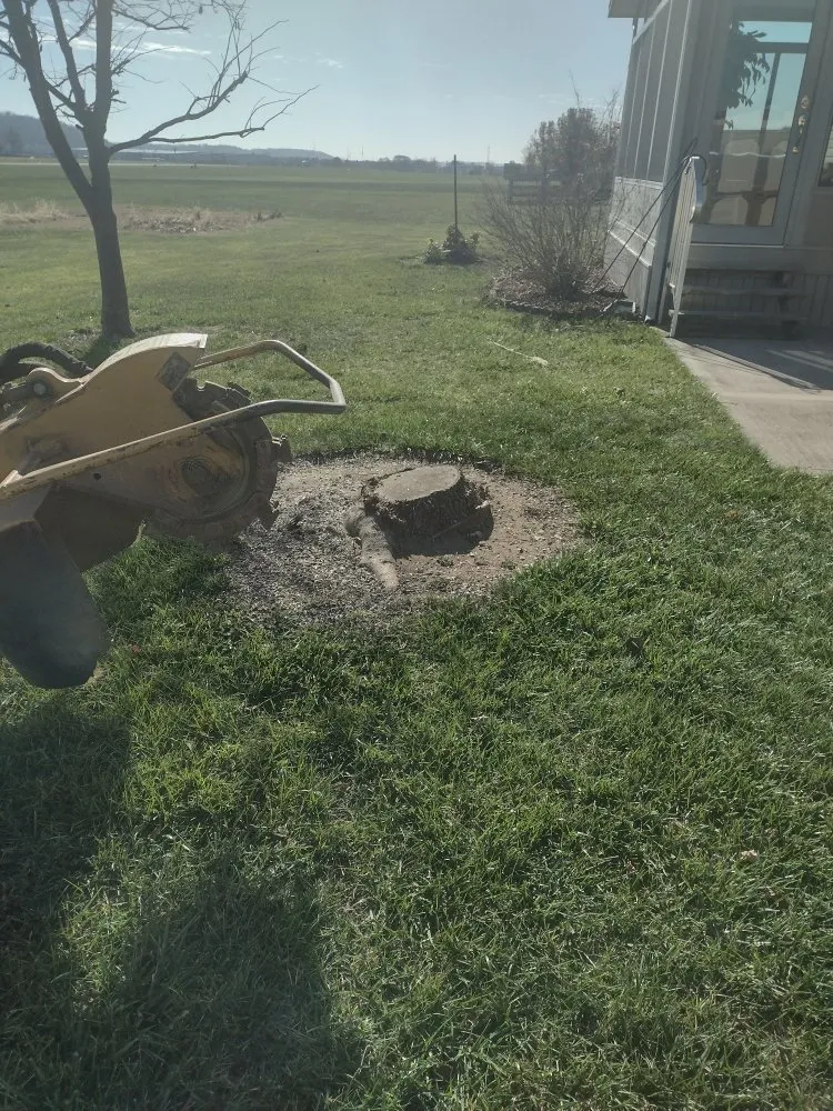 Local landscaping services in Cincinnati, OH by Skeens Lawn Care Services