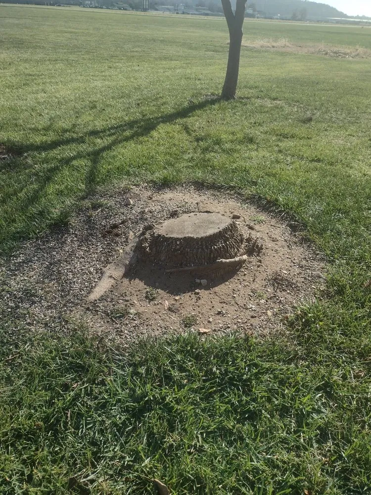 Expert outdoor landscaping experts serving Cincinnati, OH - Skeens Lawn Care Services