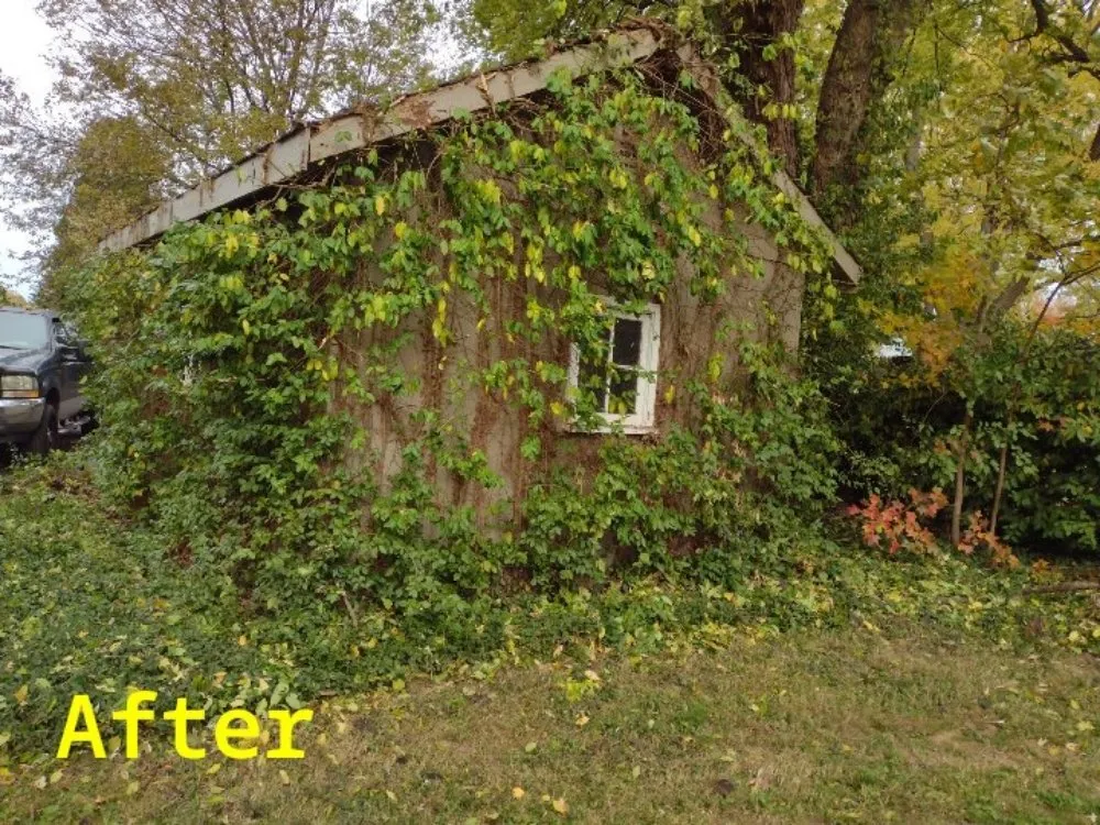 Affordable residential landscaping with custom design in Cincinnati, OH by Skeens Lawn Care Services