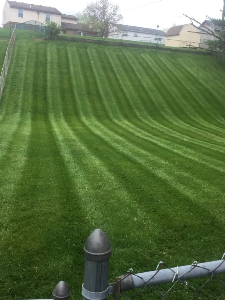 Custom yard cleanup service experts serving Cincinnati, OH - Skeens Lawn Care Services