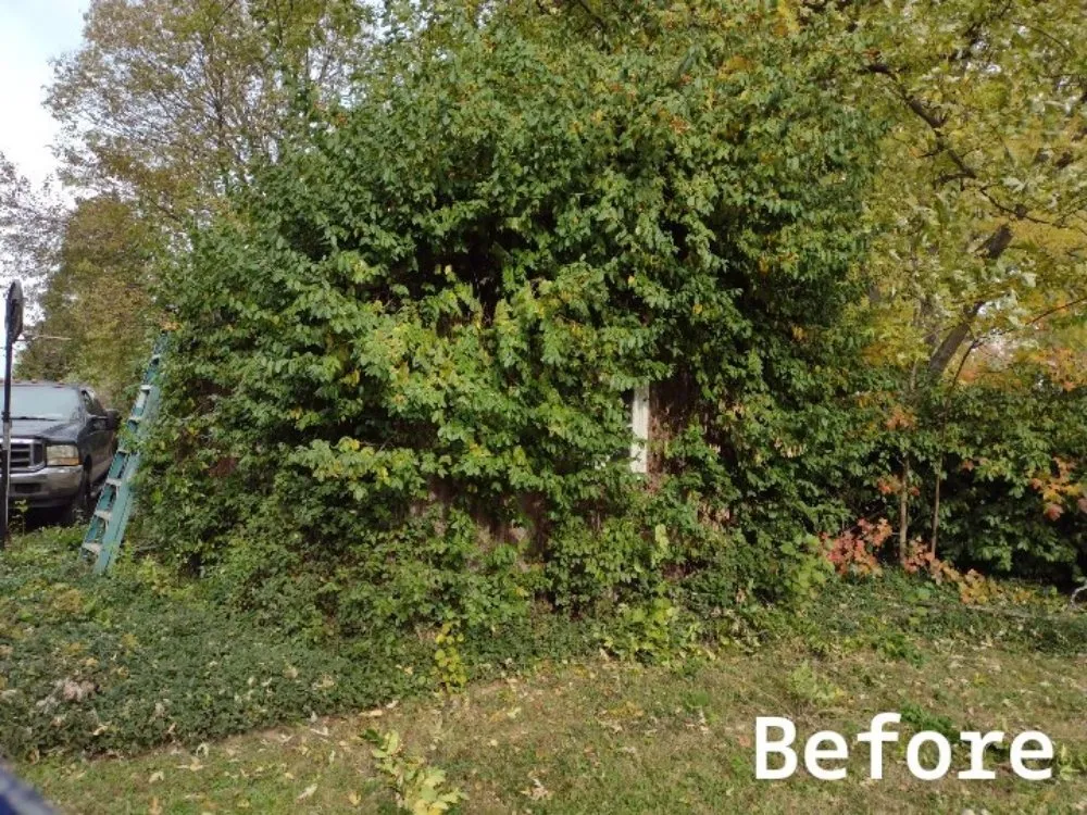 Custom residential landscaping experts serving Cincinnati, OH - Skeens Lawn Care Services