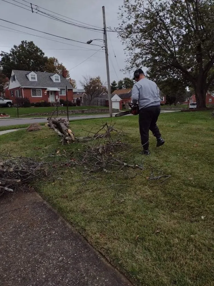Reliable landscape design with custom design in Cincinnati, OH by Skeens Lawn Care Services