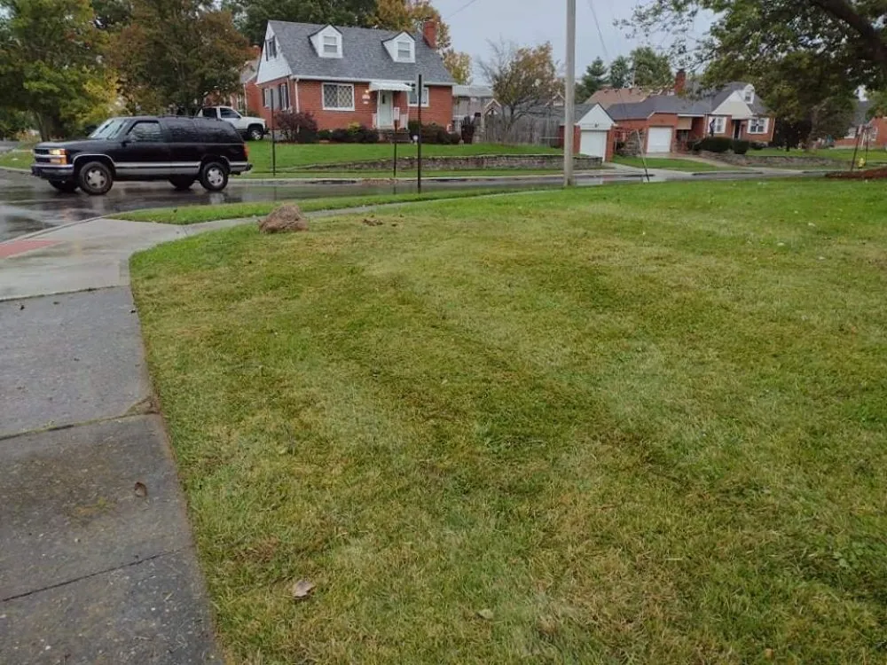Reliable outdoor landscaping in Cincinnati, OH by Skeens Lawn Care Services