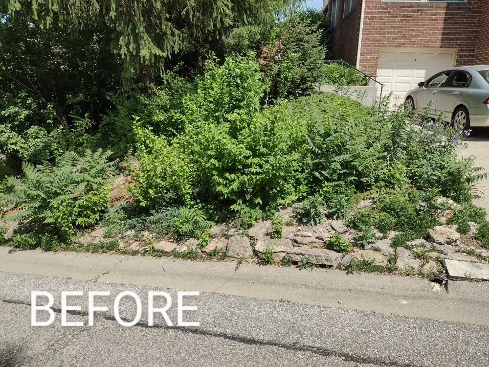 Professional landscape installation in Cincinnati, OH by Skeens Lawn Care Services