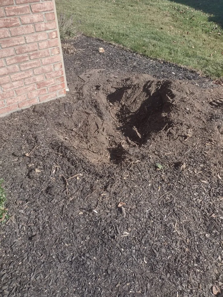 Local lawn care service for homes in Cincinnati, OH by Skeens Lawn Care Services