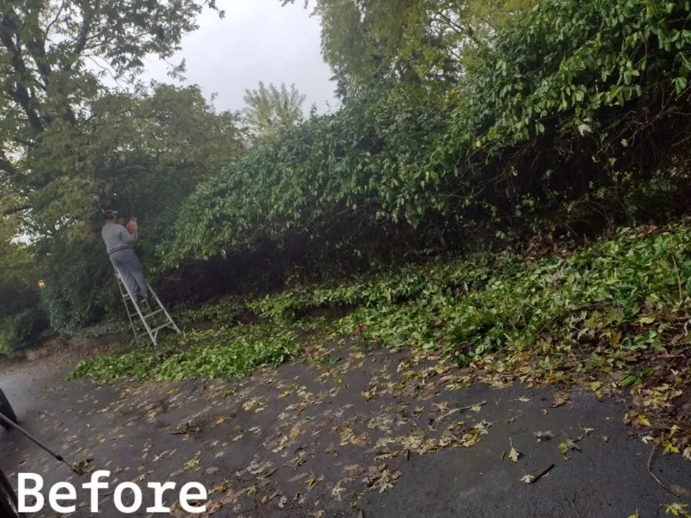 Professional yard cleanup service in Cincinnati, OH by Skeens Lawn Care Services