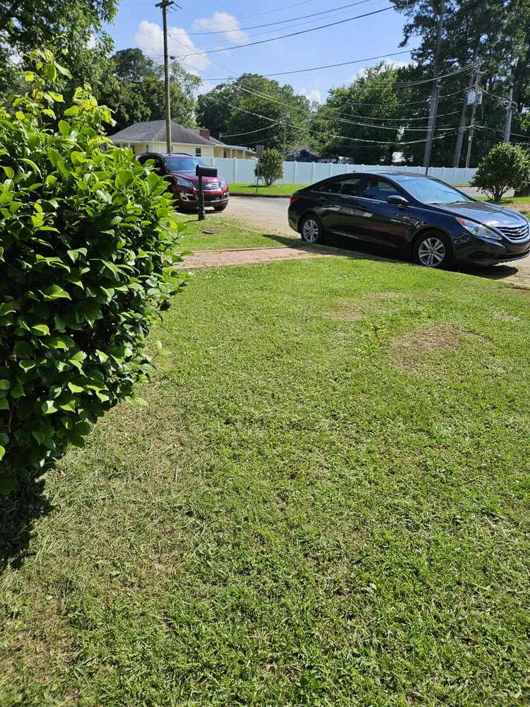 Trusted yard cleanup service for residential properties in Sylacauga, AL by Skeeter's Handyman Service