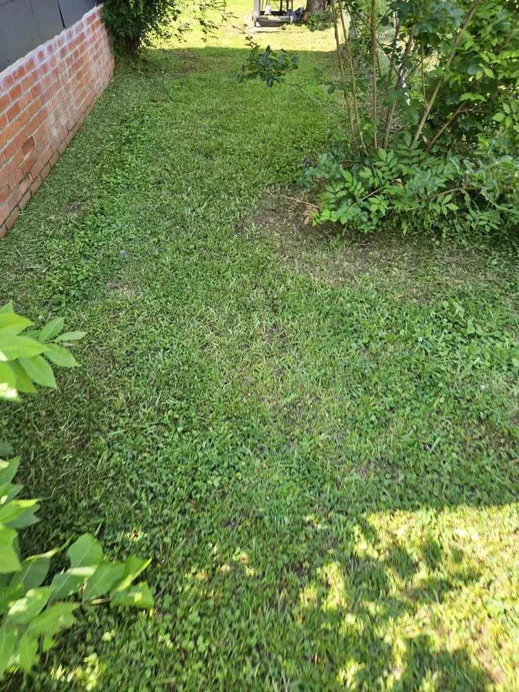 Expert outdoor landscaping in Sylacauga, AL by Skeeter's Handyman Service