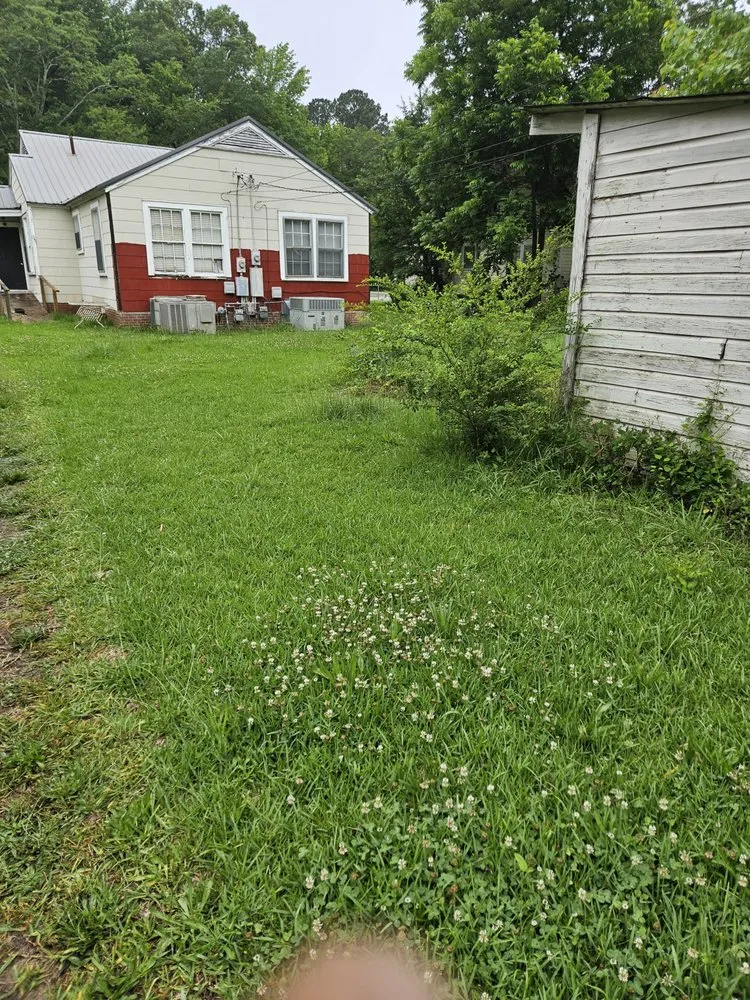 Professional yard cleanup service in Sylacauga, AL - Skeeter's Handyman Service