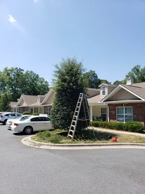 Skeeter's Landscaping and Maintenance Logo