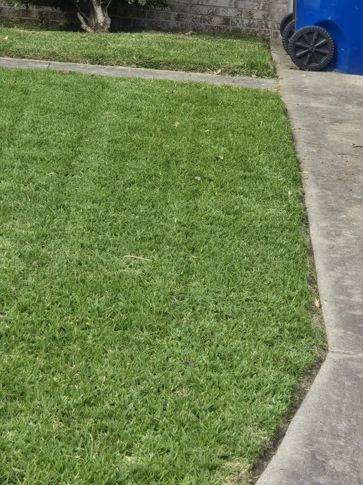 Top-rated outdoor landscaping in Chesapeake, VA - Skeeter's Lawn Care