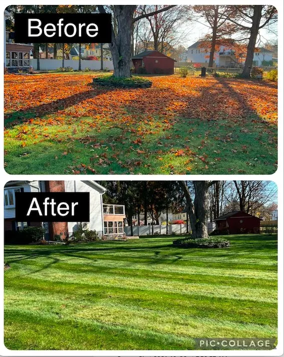 Top-rated lawn care service for outdoor upgrades in Tillson, NY by Skeet's Landscaping