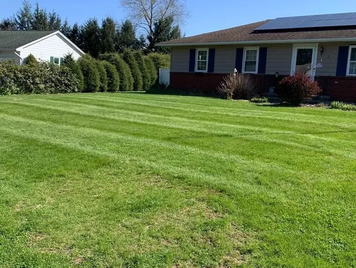 Custom lawn care service in Tillson, NY by Skeet's Landscaping