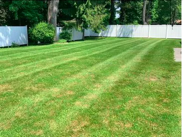 Custom lawn care service for beautiful yards across Tillson, NY - Skeet's Landscaping