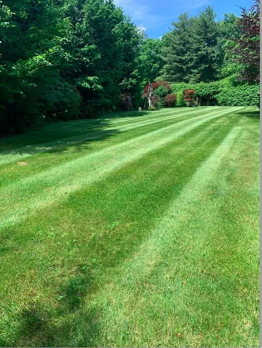 Local residential landscaping in Tillson, NY - Skeet's Landscaping
