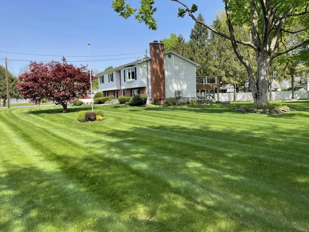 Reliable yard cleanup service in Tillson, NY - Skeet's Landscaping