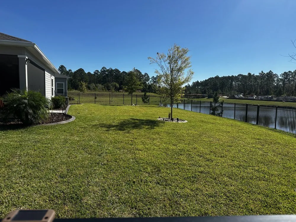 Reliable yard cleanup service for year-round maintenance in Jacksonville, FL by Skelton Family Services