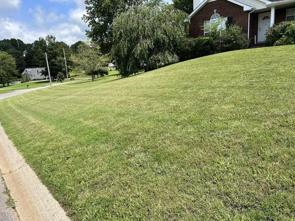 Reliable garden landscaping for year-round maintenance across Nashville, TN - Skelton's Lawncare