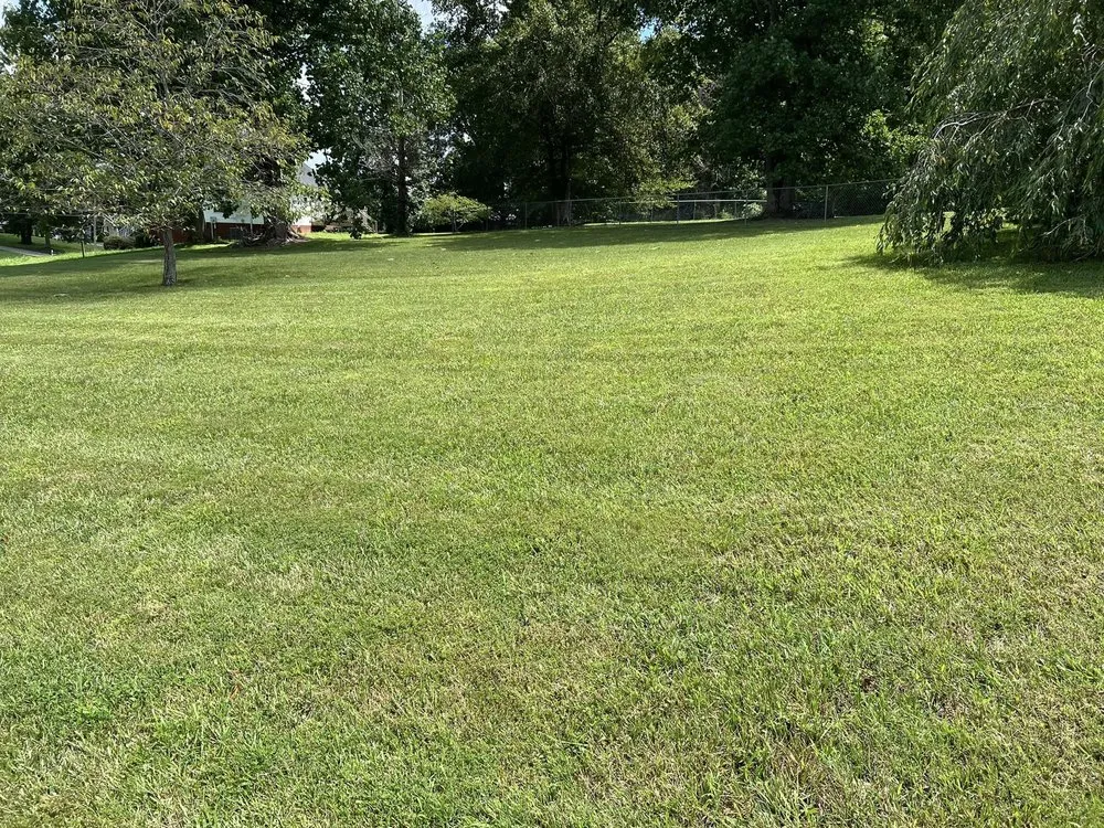 Custom landscape installation near you across Nashville, TN - Skelton's Lawncare