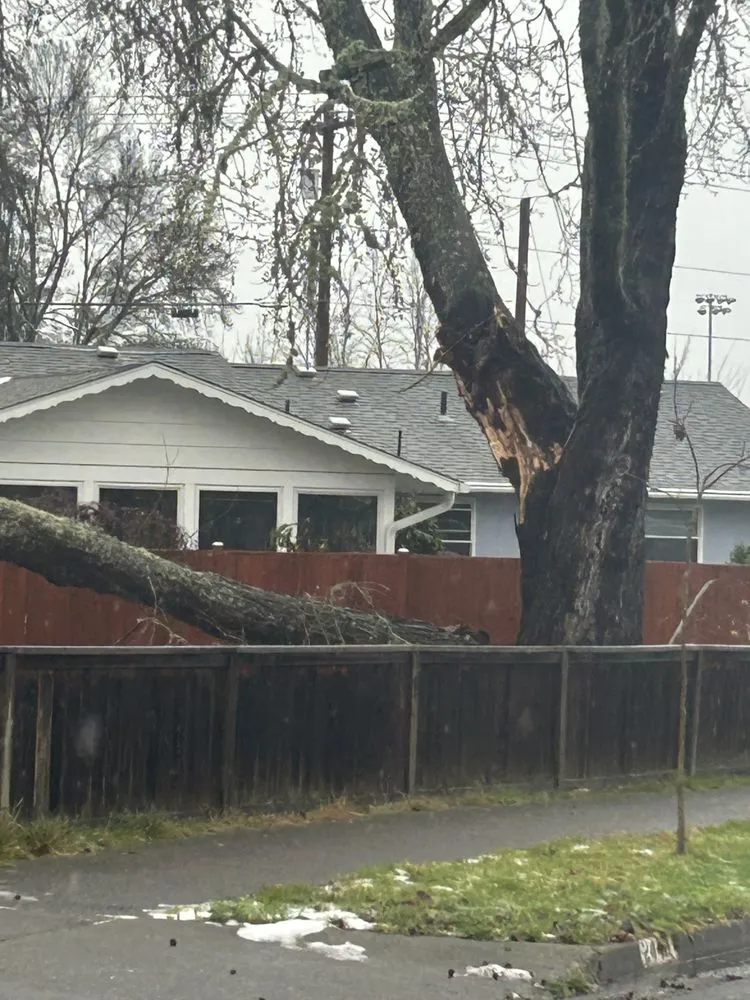 Trusted lawn mowing service for beautiful yards in Eugene, OR by S.K.F Discount Tree Removal & Landscaping