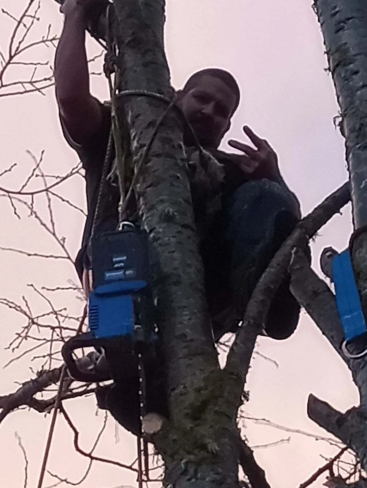 Top-rated yard cleanup service in Eugene, OR by S.K.F Discount Tree Removal & Landscaping