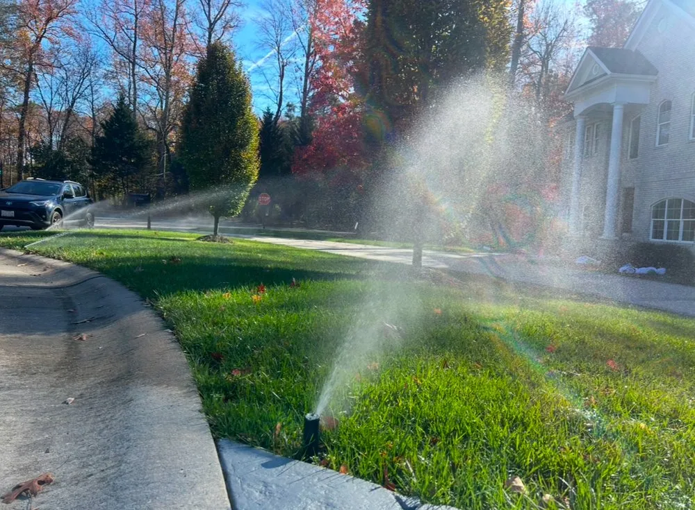 Trusted yard cleanup service experts serving Goochland, VA - Ski Irrigation