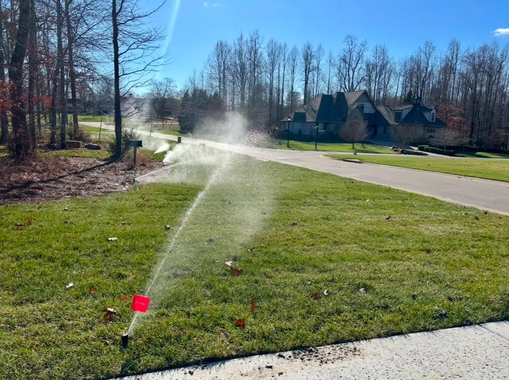 Reliable yard cleanup service experts serving Goochland, VA - Ski Irrigation