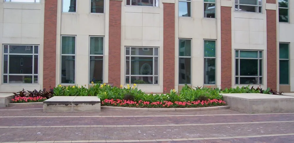 Trusted yard cleanup service experts serving Indianapolis, IN - Ski Landscape