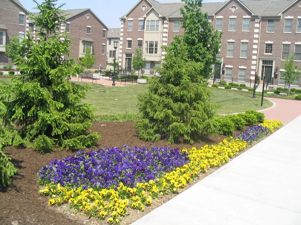 Professional yard cleanup service in Indianapolis, IN by Ski Landscape