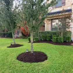 Ski Scapes Landscaping Logo