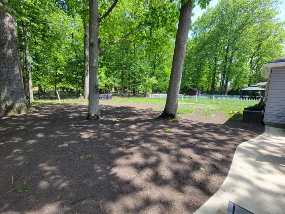 Professional residential landscaping in Vermilion, OH - Skid Pro Land Solutions