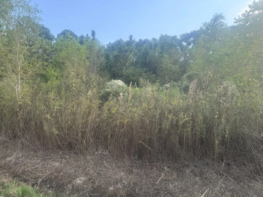 Reliable residential landscaping experts serving Lafayette, LA - Skid Pro Services